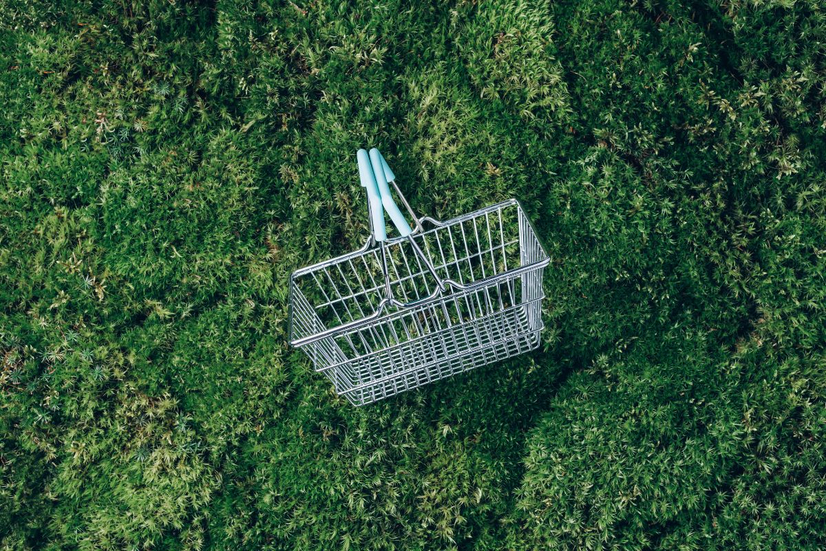 Sustainable Shopping